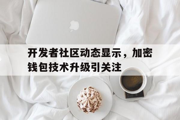 包含开发者社区动态显示，加密钱包技术升级引关注的词条